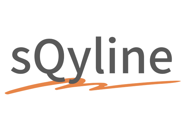 Het sQyline logo